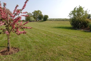 View of Paddock towards adjacent Orchards